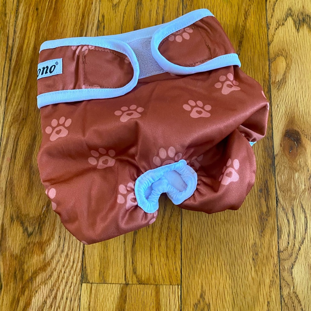 dog diaper